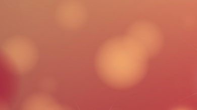 small_hp_zarice