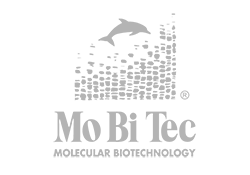 mobiteclogo