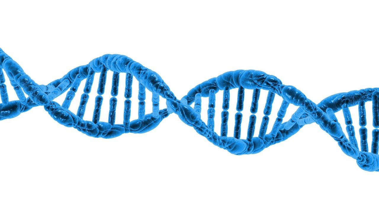 dna-163710_1280