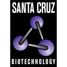 santa cruz logo